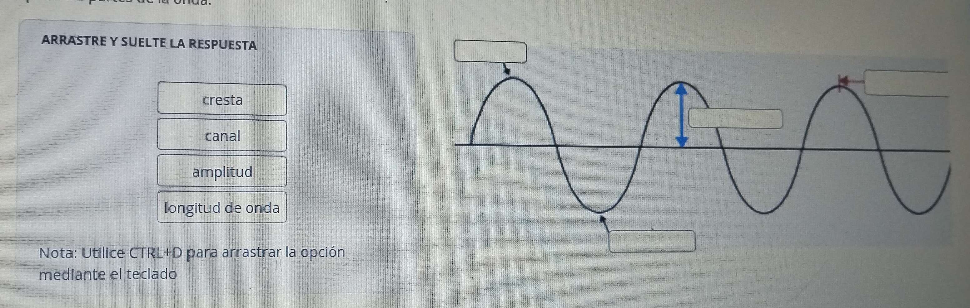 ARRASTRE Y SUELTE LA RESPUESTA 
cresta 
canal 
amplitud 
longitud de onda 
Nota: Utilice CTRL+D para arrastrar la opción 
mediante el teclado