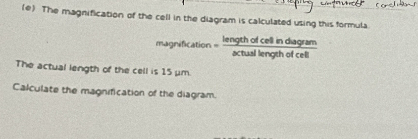 The magnification of the cell in the diagram is calculated using this formula. 
magnification .length of ce =inass m 
actual length of cell tusdlencehof 
The actual length of the cell is 15 μm. 
Calculate the magnification of the diagram.