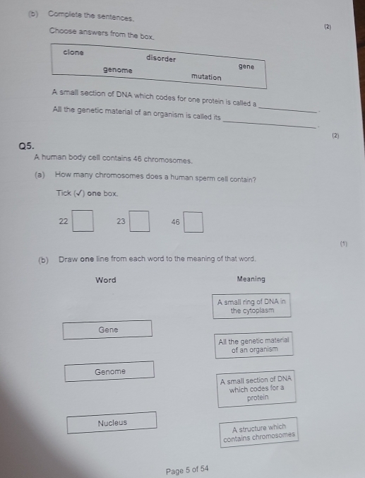 Complate the sentences.
(2)
Choose answers from the box.
clone disorder gene
genome mutation
_
A small section of DNA which codes for one protein is called a
_
All the genetic material of an organism is called its
-
(2)
Q5.
A human body cell contains 46 chromosomes.
(a) How many chromosomes does a human sperm cell contain?
Tick (√) one box.
22 23 46
(1)
(b) Draw one line from each word to the meaning of that word.
Word Meaning
A small ring of DNA in
the cytoplasm
Gene
All the genetic material
of an organism
Genome
A small section of DNA
which codes for a
protein
Nucleus
contains chromosomes A structure which
Page 5 of 54