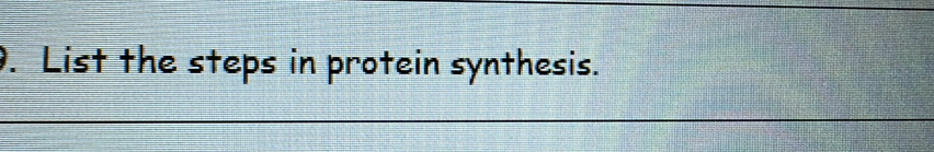 List the steps in protein synthesis.