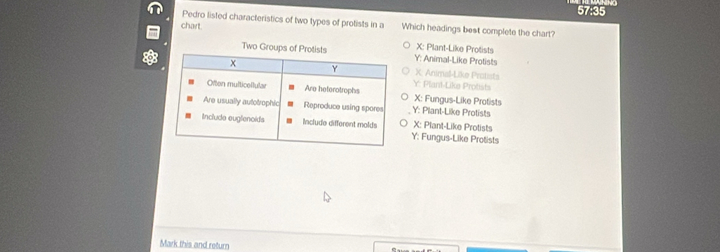 Solved: 57 35 Pedro listed characteristics of two types of protists in ...