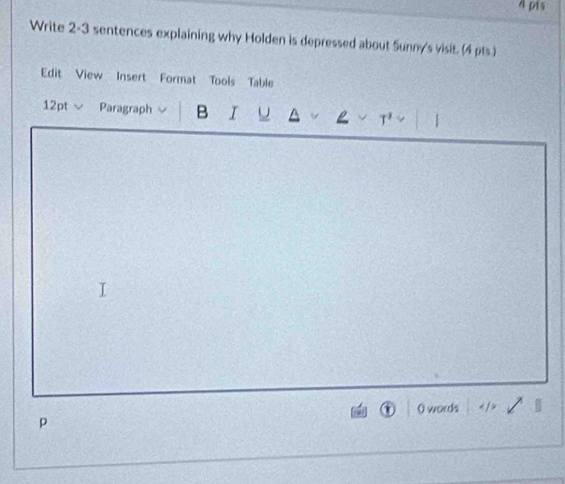 pis 
Write 2-3 sentences explaining why Holden is depressed about Sunny's visit. (4 pts.) 
Edit View Insert Format Tools Table 
12pt Paragraph B I 
a O words 
p