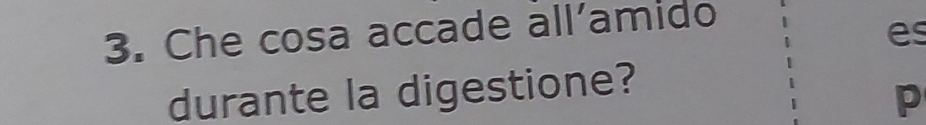 Che cosa accade all’amido 
es 
durante la digestione? 
p