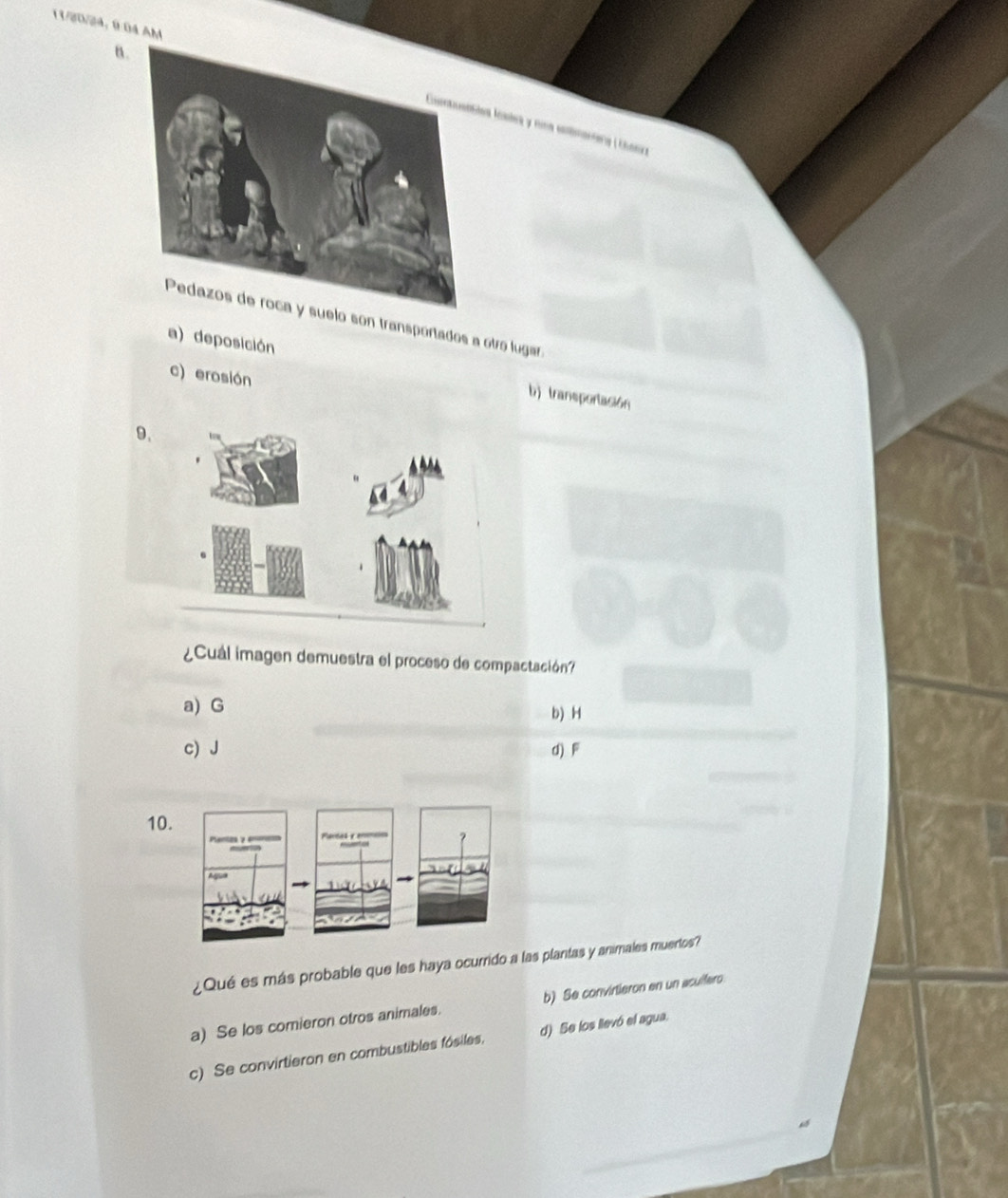 11/20/4,0:04 AM
n.
s lsles y nina eomariery ( Canca
on transportados a otro lugar:
a) deposición b) transportación
c) erosión
9.
¿Cuál imagen demuestra el proceso de compactación?
a) G b) H
c) J d) F
10
¿Qué es más probable que les haya ocurrido a las plantas y animales muertos?
a) Se los comieron otros animales. b) Se convirtieron en un aculfero.
c) Se convirtieron en combustibles fósiles, d) Se los lievó el agua.