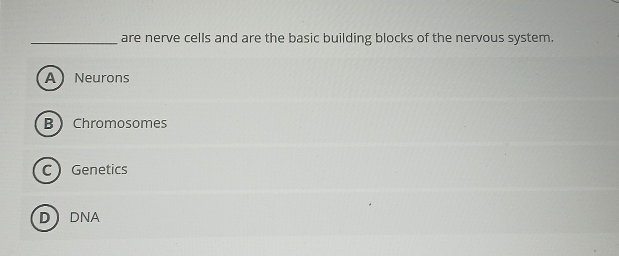 are nerve cells and are the basic building blocks of the nervous system.
ANeurons
B Chromosomes
CGenetics
DDNA