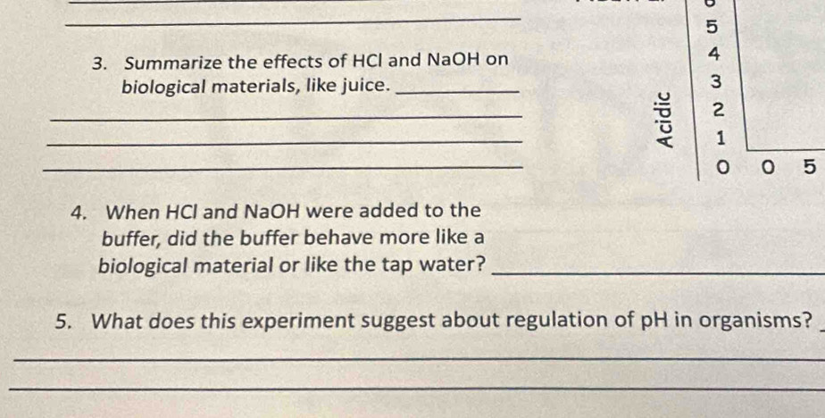 5 
3. Summarize the effects of HCl and NaOH on 
4 
biological materials, like juice._ 
3 
_ 
2 
_ 
1 
_ 
0 5
4. When HCl and NaOH were added to the 
buffer, did the buffer behave more like a 
biological material or like the tap water?_ 
5. What does this experiment suggest about regulation of pH in organisms? 
_ 
_