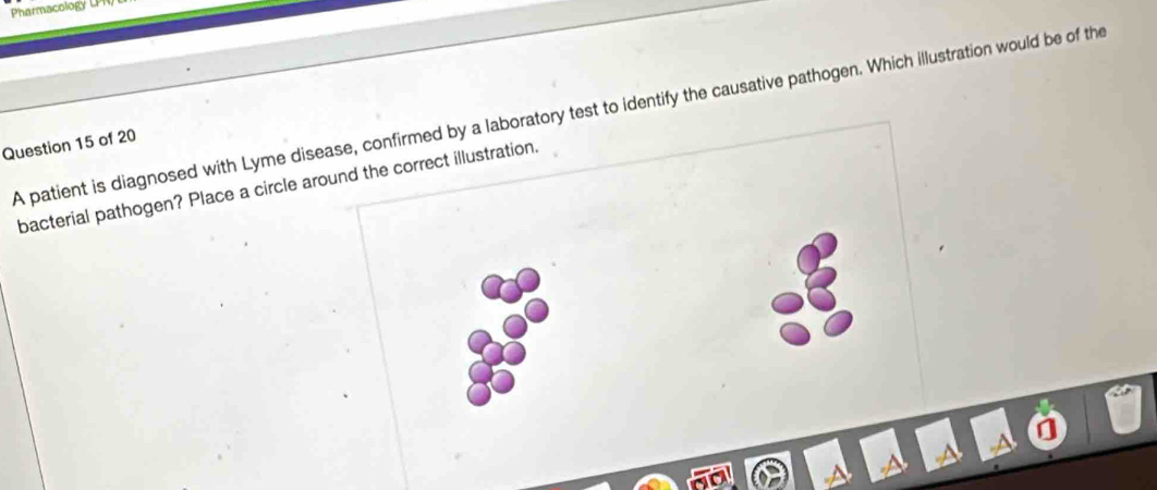 Pharmacology LP 
A patient is diagnosed with Lyme disease, confirmed by a laboratory test to identify the causative pathogen. Which illustration would be of the 
Question 15 of 20 
bacterial pathogen? Place a circle around the correct illustration.