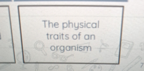 The physical 
traits of an 
organism
7