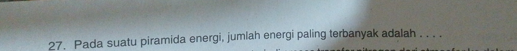 Pada suatu piramida energi, jumlah energi paling terbanyak adalah . . . .