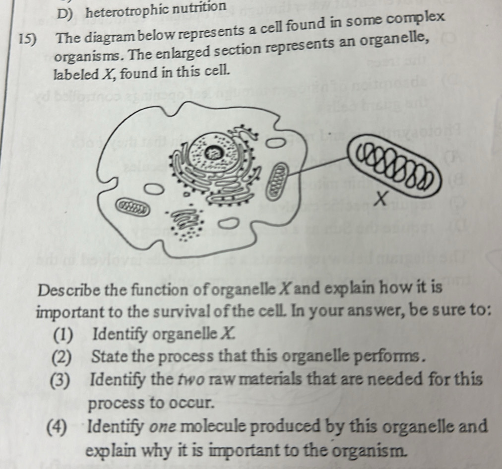 D) heterotrophic nutrition
15) The diagram below represents a cell found in some complex
organisms. The enlarged section represents an organelle,
labeled X, found in this cell.
x
Describe the function of organelle X and explain how it is
important to the survival of the cell. In your answer, be sure to:
(1) Identify organelle X
(2) State the process that this organelle performs.
(3) Identify the two raw materials that are needed for this
process to occur.
(4) Identify one molecule produced by this organelle and
explain why it is important to the organism.