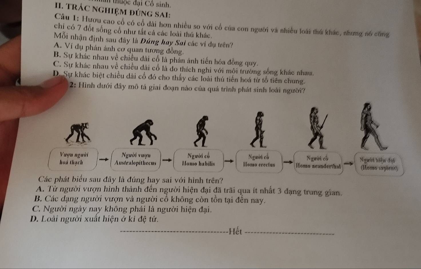 tan thuộc đại Cổ sinh.
II. TRÁC NGHIệM đÚNG SAI:
Câu 1: Hươu cao cổ có cổ dài hơn nhiều so với cổ của con người và nhiều loài thú khác, nhưng nó cũng
chí có 7 đốt sống cổ như tất cả các loài thú khác.
Mỗi nhận định sau đây là Đúng hay Sai các ví dụ trên?
A. Ví dụ phản ảnh cơ quan tương đồng.
B. Sự khác nhau về chiều dài cổ là phản ảnh tiến hóa đồng quy.
C. Sự khác nhau về chiều dài cổ là do thích nghi với môi trường sống khác nhau.
D. Sự khác biệt chiều dài cổ đó cho thấy các loài thú tiến hoá từ tổ tiên chung.
2: Hình dưới đây mô tả giai đoạn nào của quá trình phát sinh loài người?
Các phát biểu sau đây là đúng hay sai với hình trên?
A. Từ người vượn hình thành đến người hiện đại đã trãi qua ít nhất 3 đạng trung gian.
B. Các dạng người vượn và người cổ không còn tồn tại đến nay.
C. Người ngày nay không phải là người hiện đại.
D. Loài người xuất hiện ở ki đệ tứ.
_Hết_