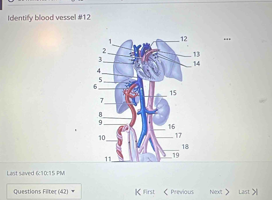 Identify blood vessel #12 
.. 
Last saved 6:10:15 PM 
Questions Filter (42) First Previous Next > Last