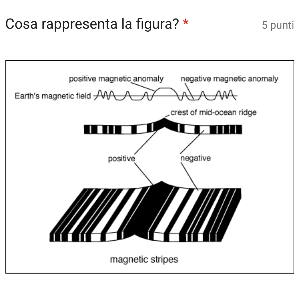 Cosa rappresenta la figura? * 5 punti 
magnetic stripes