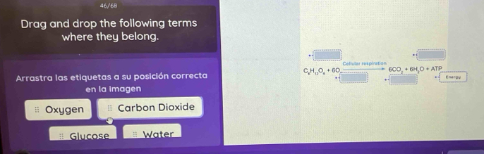 46/68 
Drag and drop the following terms 
where they belong. 
Cellular respiration
C_6H_12O_4+60_2 6CO_2+6H_2O+ATP
Arrastra las etiquetas a su posición correcta Eneroy 
en la imagen 
Oxygen Carbon Dioxide 
Glucose Water