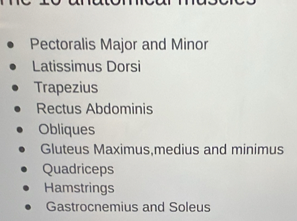 Pectoralis Major and Minor
Latissimus Dorsi
Trapezius
Rectus Abdominis
Obliques
Gluteus Maximus,medius and minimus
Quadriceps
Hamstrings
Gastrocnemius and Soleus