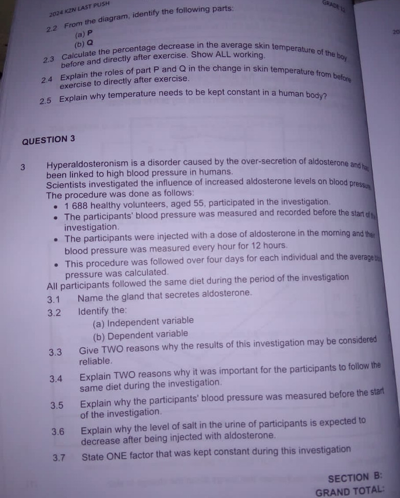 2024 KZN LAST PUSH 
2.2 From the diagram, identify the following parts: 
GRADEL 
(a) P
20
(b) Q
2.3 Calculate the percentage decrease in the average skin temperature of the boy 
before and directly after exercise. Show ALL working. 
2.4 Explain the roles of part P and Q in the change in skin temperature from before 
exercise to directly after exercise. 
2.5 Explain why temperature needs to be kept constant in a human body? 
QUESTION 3 
3 Hyperaldosteronism is a disorder caused by the over-secretion of aldosterone and ha 
been linked to high blood pressure in humans. 
Scientists investigated the influence of increased aldosterone levels on blood pressum 
The procedure was done as follows: 
1 688 healthy volunteers, aged 55, participated in the investigation. 
The participants' blood pressure was measured and recorded before the start of 
investigation. 
The participants were injected with a dose of aldosterone in the morning and the 
blood pressure was measured every hour for 12 hours. 
This procedure was followed over four days for each individual and the average 
pressure was calculated. 
All participants followed the same diet during the period of the investigation 
3.1 Name the gland that secretes aldosterone. 
3.2 Identify the: 
(a) Independent variable 
(b) Dependent variable 
3.3 Give TWO reasons why the results of this investigation may be considered 
reliable. 
3.4 Explain TWO reasons why it was important for the participants to follow the 
same diet during the investigation. 
3.5 Explain why the participants' blood pressure was measured before the start 
of the investigation. 
3.6 Explain why the level of salt in the urine of participants is expected to 
decrease after being injected with aldosterone. 
3.7 State ONE factor that was kept constant during this investigation 
SECTION B: 
GRAND TOTAL: