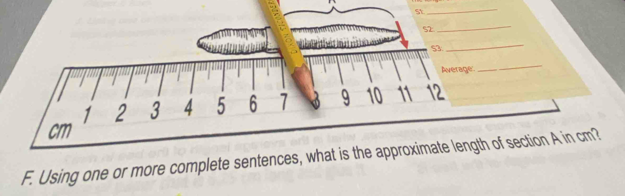 St 
_ 
S2 
_ 
S3. 
_ 
Average: 
_
1 2 3 4 5 6 7 9 10 11 12
cm
F. Using one or more complete sentences, what is the approximate length of section A in cm?