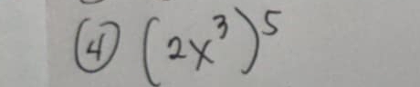 4 (2x^3)^5