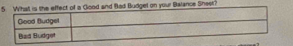 Budget on your Balance Sheet?