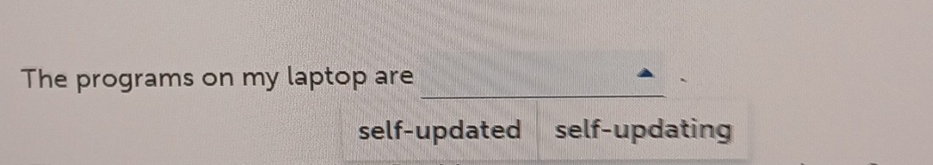 The programs on my laptop are 
self-updated self-updating