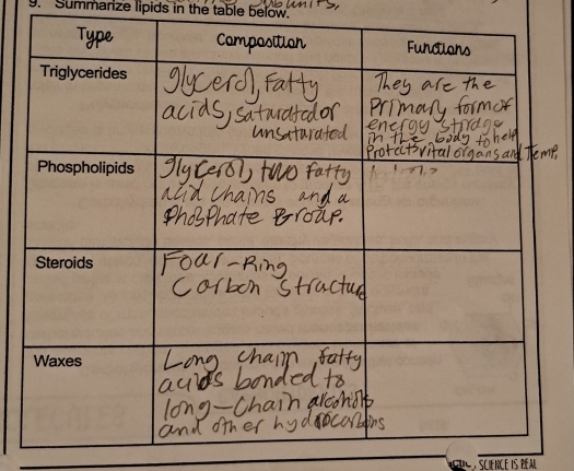 Summanze lipids in the table below.