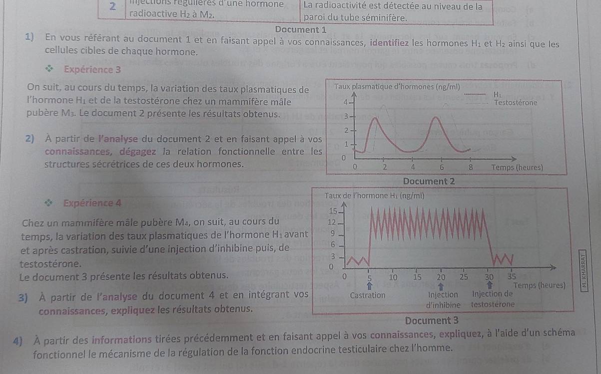 injéctions régulières d'une hormone La radioactivité est détectée au niveau de la
radioactive H₂ à M₂. paroi du tube séminifère.
Document 1
1) En vous référant au document 1 et en faisant appel à vos connaissances, identifiez les hormones H₁ et H₂ ainsi que les
cellules cibles de chaque hormone.
Expérience 3
On suit, au cours du temps, la variation des taux plasmatiques d
l’hormone H_1 et de la testostérone chez un mammifère mâle
pubère M3. Le document 2 présente les résultats obtenus.
2) À partir de l'analyse du document 2 et en faisant appel à 
connaissances, dégagez la relation fonctionnelle entre
structures sécrétrices de ces deux hormones.
Expérience 4
Chez un mammifère mâle pubère M₄, on suit, au cours du
temps, la variation des taux plasmatiques de l’hormone H_1 av
et après castration, suivie d’une injection d’inhibine puis, de 
testostérone.
Le document 3 présente les résultats obtenus. 
3) À partir de l'analyse du document 4 et en intégrant 
connaissances, expliquez les résultats obtenus.
Document 3
4) À partir des informations tirées précédemment et en faisant appel à vos connaissances, expliquez, à l'aide d'un schéma
fonctionnel le mécanisme de la régulation de la fonction endocrine testiculaire chez l’homme.