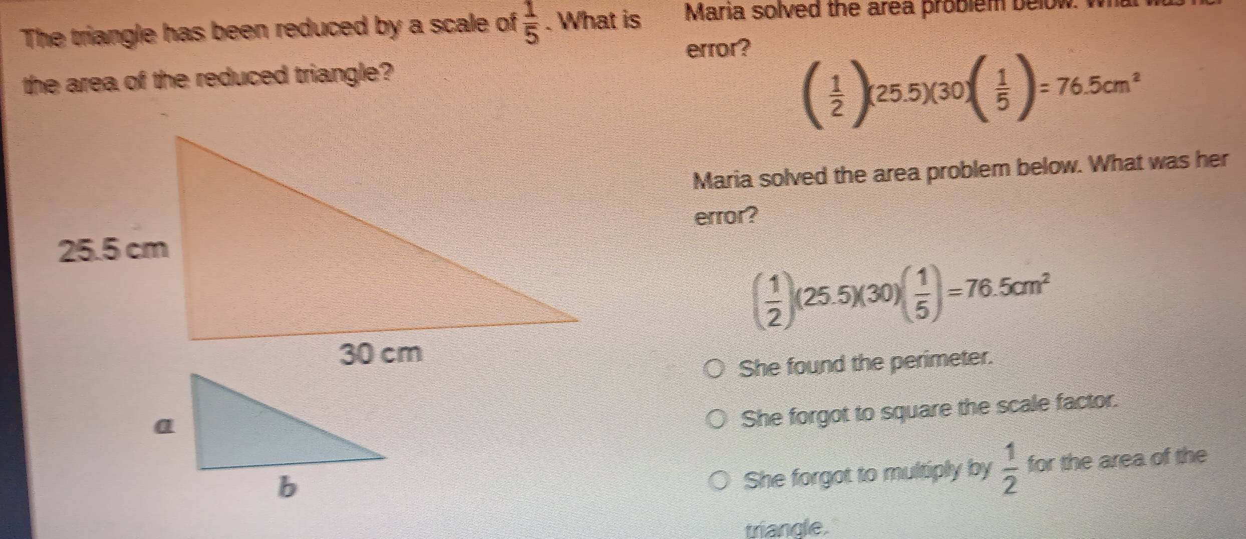 The triangle has been reduced by a scale of 1/5 . What is Maria solved ...