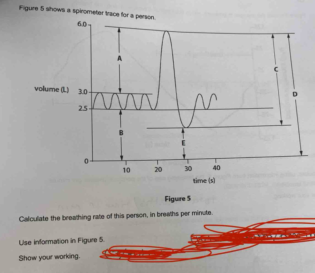 Figure 5 shows a spirometer trace for a pers 
Figure 5 
Calculate the breathing rate of this person, in breaths per minute. 
Use information in Figure 5. 
Show your working.