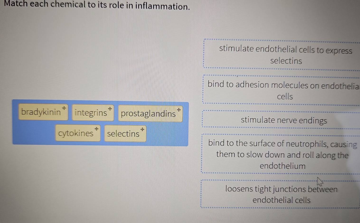 Match each chemical to its role in inflammation.
stimulate endothelial cells to express
selectins
bind to adhesion molecules on endothelia
cells
bradykinin * integrins † prostaglandins
stimulate nerve endings
cytokines selectins *
bind to the surface of neutrophils, causing
them to slow down and roll along the
endothelium
loosens tight junctions between
endothelial cells