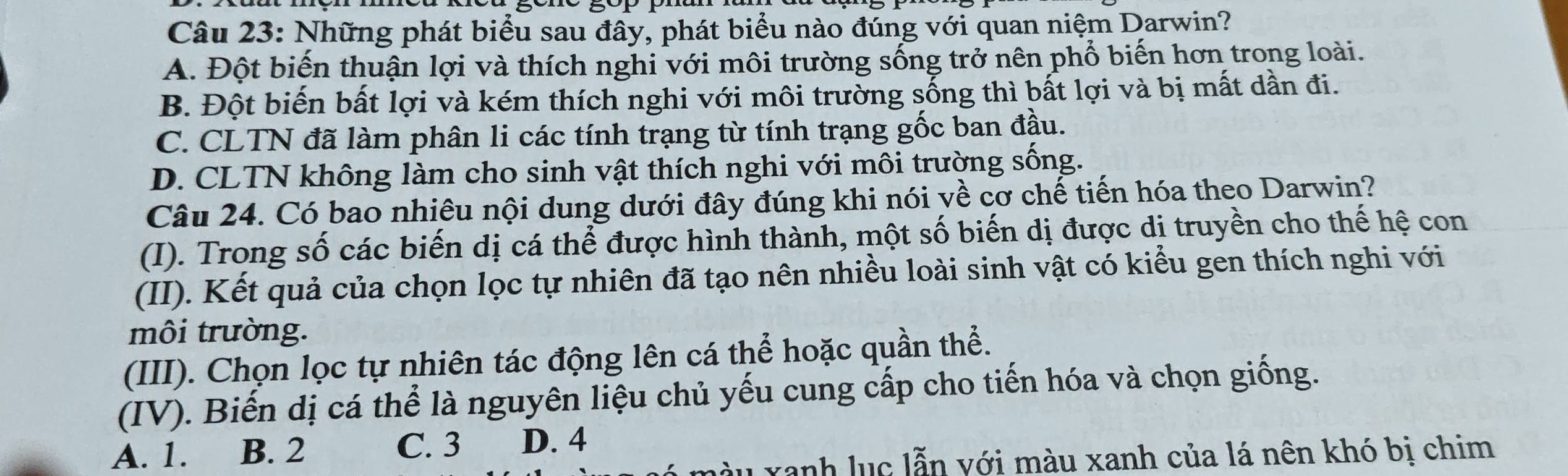 Những phát biểu sau đây, phát biểu nào đúng với quan niệm Darwin?
A. Đột biến thuận lợi và thích nghi với môi trường sống trở nên phổ biến hơn trong loài.
B. Đột biến bất lợi và kém thích nghi với môi trường sống thì bất lợi và bị mất dần đi.
C. CLTN đã làm phân li các tính trạng từ tính trạng gốc ban đầu.
D. CLTN không làm cho sinh vật thích nghi với môi trường sống.
Câu 24. Có bao nhiêu nội dung dưới đây đúng khi nói về cơ chế tiến hóa theo Darwin?
(I). Trong số các biến dị cá thể được hình thành, một số biến dị được dị truyền cho thế hệ con
(II). Kết quả của chọn lọc tự nhiên đã tạo nên nhiều loài sinh vật có kiểu gen thích nghi với
môi trường.
(III). Chọn lọc tự nhiên tác động lên cá thể hoặc quần thể.
(IV). Biến dị cá thể là nguyên liệu chủ yếu cung cấp cho tiến hóa và chọn giống.
A. 1. B. 2 C. 3 D. 4
T xanh lục lẫn với màu xanh của lá nên khó bị chim