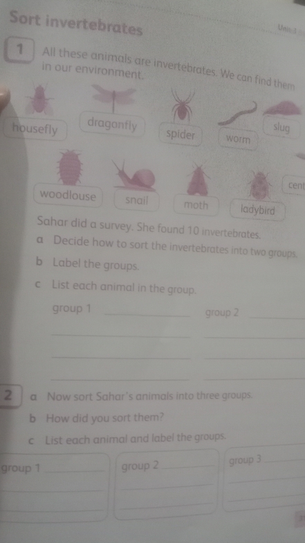 Sort invertebrates
Unit 3
1 All these animals are invertebrates. We can find them
in our environment.
housefly dragonfly slug
spider worm
cent
woodlouse snail moth ladybird
Sahar did a survey. She found 10 invertebrates.
a Decide how to sort the invertebrates into two groups.
b Label the groups.
c List each animal in the group.
group 1 _group 2_
_
_
_
_
_
_
2 a Now sort Sahar's animals into three groups.
b How did you sort them?
c List each animal and label the groups.
_
group 1 _group 2_ group 3_
_
_
_
_
_