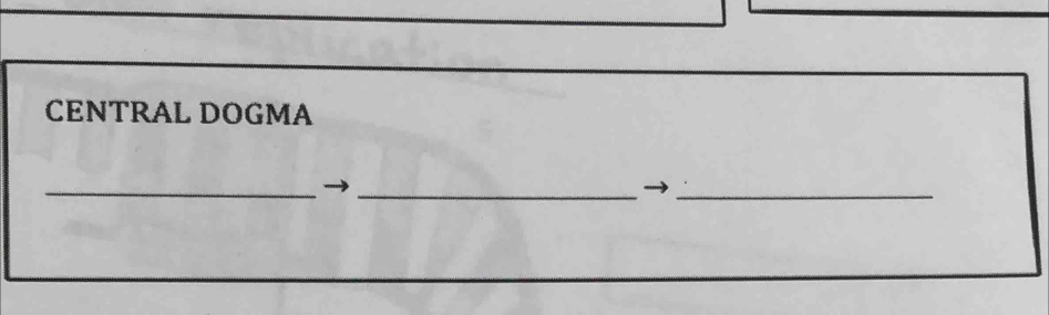 CENTRAL DOGMA 
_ 
__