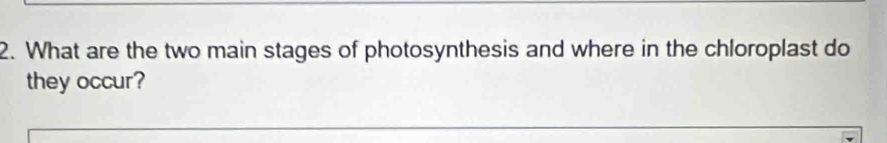 What are the two main stages of photosynthesis and where in the chloroplast do 
they occur?