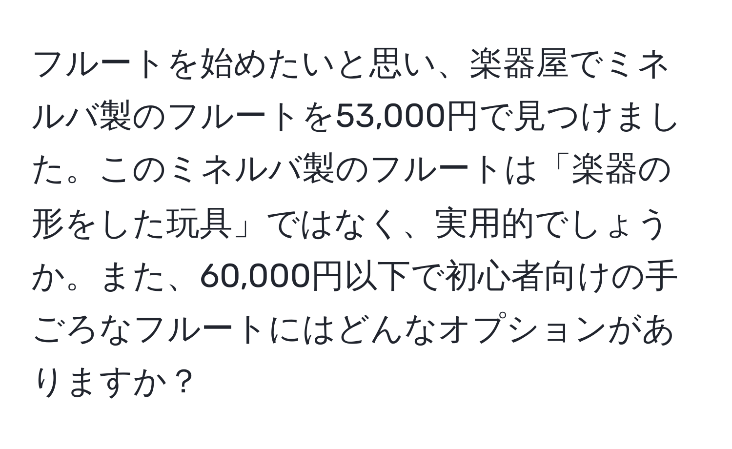 フルートを始めたいと思い、楽器屋でミネルバ製のフルートを53,000円で見つけました。このミネルバ製のフルートは「楽器の形をした玩具」ではなく、実用的でしょうか。また、60,000円以下で初心者向けの手ごろなフルートにはどんなオプションがありますか？