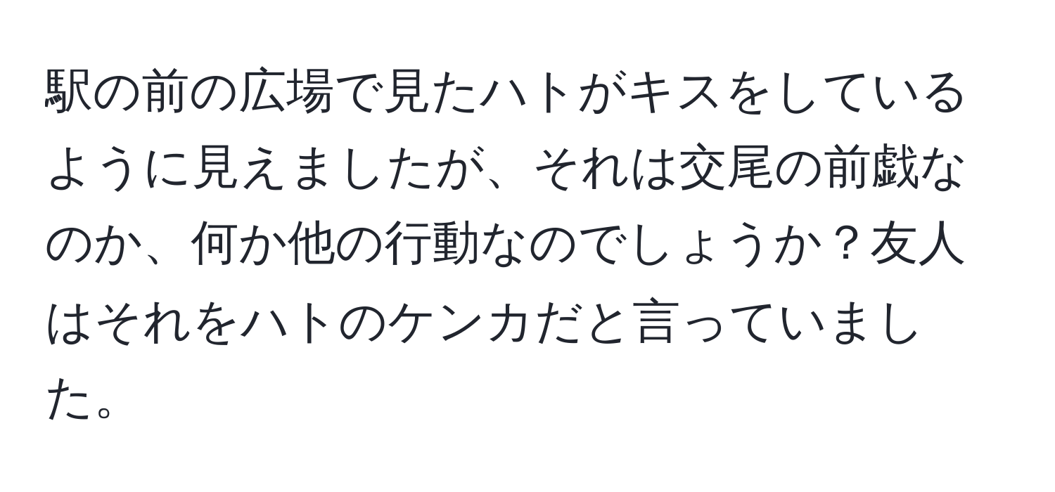 駅の前の広場で見たハトがキスをしているように見えましたが、それは交尾の前戯なのか、何か他の行動なのでしょうか？友人はそれをハトのケンカだと言っていました。