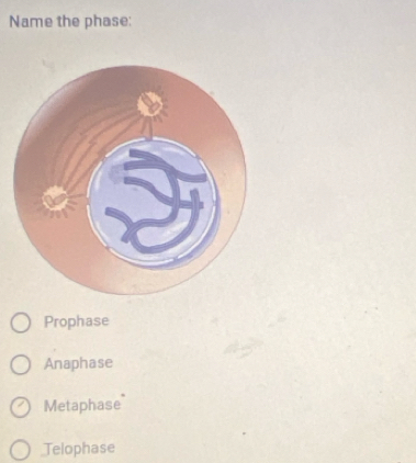 Name the phase:
Prophase
Anaphase
Metaphase
Telophase