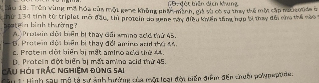 D. đột biến dịch khung.
Câu 13: Trên vùng mã hóa của một gene không phân mảnh, giả sử có sự thay thế một cặp nucleotide ở
:hứ 134 tính từ triplet mở đầu, thì protein do gene này điều khiển tổng hợp bị thay đối nhu thế nào ở
brotein bình thường?
A. Protein đột biến bị thay đổi amino acid thứ 45.
B. Protein đột biến bị thay đổi amino acid thứ 44.
c. Protein đột biến bị mất amino acid thứ 44.
D. Protein đột biến bị mất amino acid thứ 45.
CÂU HẢI TRÁC NGHIỆM ĐÚNG SAI
Câu 1: Hình sau mô tả sự ảnh hưởng của một loại đột biến điểm đến chuỗi polypeptide: