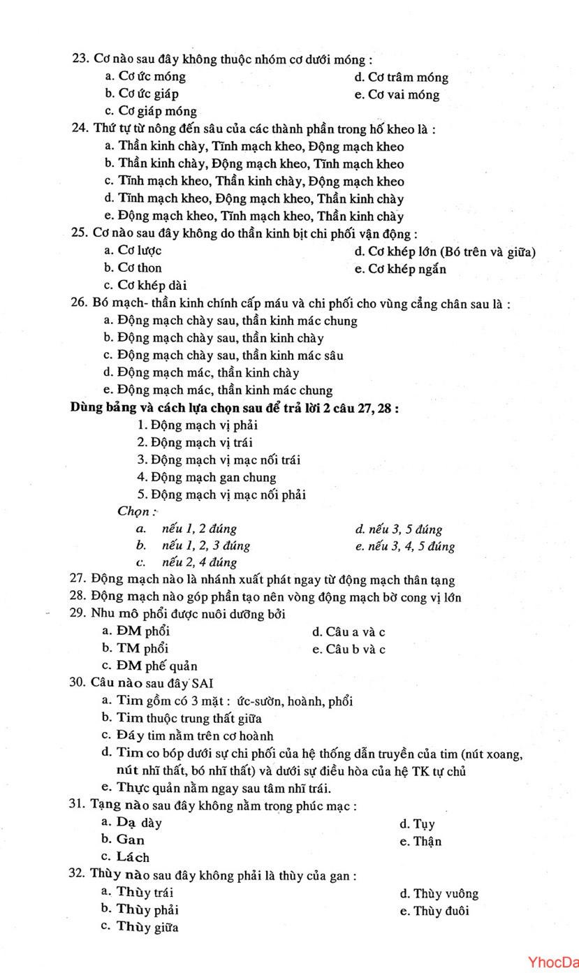Cơ nào sau đây không thuộc nhóm cơ dưới móng :
a. Cơ ức móng d. Cơ trâm móng
b. Cơ ức giáp e. Cơ vai móng
c. Cơ giáp móng
24. Thứ tự từ nông đến sâu của các thành phần trong hố kheo là :
a. Thần kinh chày, Tĩnh mạch kheo, Động mạch kheo
b. Thần kinh chày, Động mạch kheo, Tĩnh mạch kheo
c. Tĩnh mạch kheo, Thần kinh chày, Động mạch kheo
d. Tĩnh mạch kheo, Động mạch kheo, Thần kinh chày
e. Động mạch kheo, Tĩnh mạch kheo, Thần kinh chày
25. Cơ nào sau đây không do thần kinh bịt chi phối vận động :
a. Cơ lược d. Cơ khép lớn (Bó trên và giữa)
b. Cơ thon e. Cơ khép ngắn
c. Cơ khép dài
26. Bó mạch- thần kinh chính cấp máu và chi phối cho vùng cẳng chân sau là :
a. Động mạch chày sau, thần kinh mác chung
b. Động mạch chày sau, thần kinh chày
c. Động mạch chày sau, thần kinh mác sâu
d. Động mạch mác, thần kinh chày
e. Động mạch mác, thần kinh mác chung
Dùng bảng và cách lựa chọn sau để trả lời 2 câu 27, 28 :
1. Động mạch vị phải
2. Động mạch vị trái
3. Động mạch vị mạc nối trái
4. Động mạch gan chung
5. Động mạch vị mạc nối phải
Chọn :
a. nếu 1, 2 đúng d. nếu 3, 5 đúng
b. nếu 1, 2, 3 đúng e. nếu 3, 4, 5 đúng
c. nếu 2, 4 đúng
27. Động mạch nào là nhánh xuất phát ngay từ động mạch thân tạng
28. Động mạch nào góp phần tạo nên vòng động mạch bờ cong vị lớn
29. Nhu mô phổi được nuôi dưỡng bởi
a. ĐM phổi d. Câu a và c
b. TM phổi e. Câu b và c
c. ĐM phế quản
30. Câu nào sau đây SAI
a. Tim gồm có 3 mặt : ức-sườn, hoành, phổi
b. Tim thuộc trung thất giữa
c. Đáy tim nằm trên cơ hoành
d. Tim co bóp dưới sự chi phối của hệ thống dẫn truyền của tim (nút xoang,
nút nhĩ thất, bó nhĩ thất) và dưới sự điều hòa của hệ TK tự chủ
e. Thực quản nằm ngay sau tâm nhĩ trái.
31. Tạng nào sau đây không nằm trong phúc mạc :
a. Dạ dày d. Tụy
b. Gan e. Thận
c. Lách
32. Thùy nào sau đây không phải là thùy của gan :
a. Thùy trái d. Thùy vuông
b. Thùy phải e. Thùy đuôi
c. Thùy giữa
YhocDa