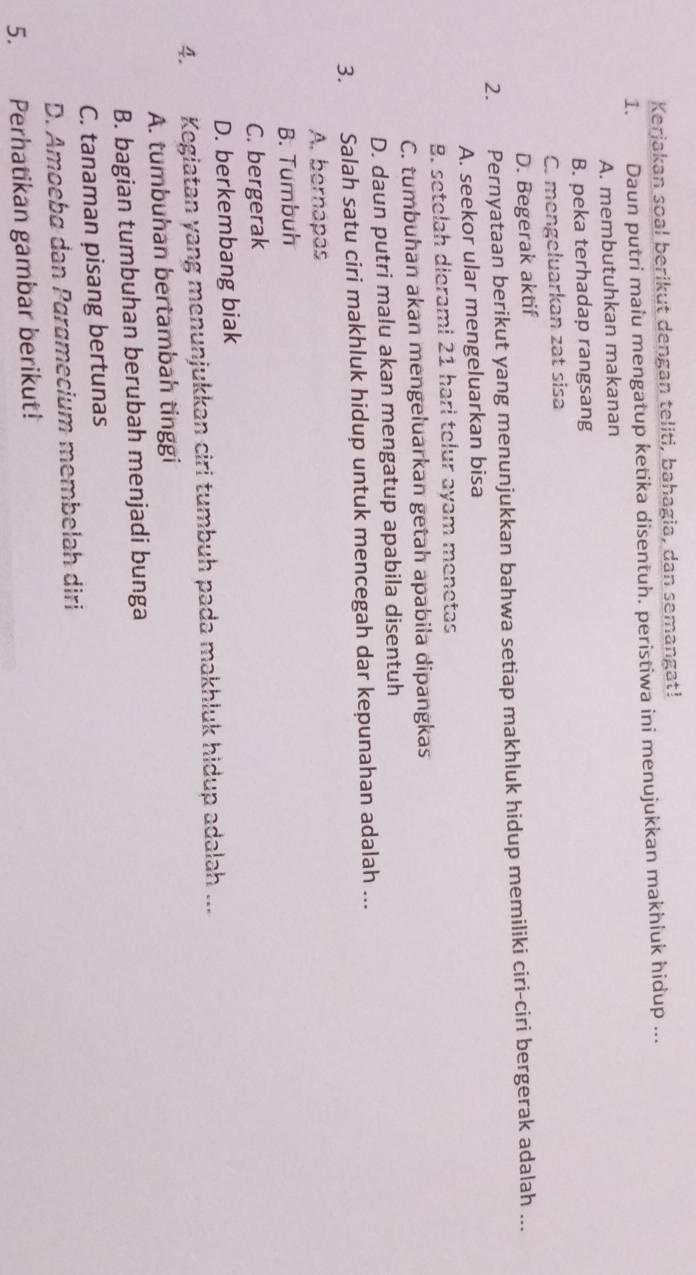 Kerjakan soal berikut dengan teliti, bahagia, dan semangat!
1. Daun putri maiu mengatup ketika disentuh. peristiwa ini menujukkan makhluk hidup ...
A. membutuhkan makanan
B. peka terhadap rangsang
C. mengeluarkan zat sisa
D. Begerak aktif
2. Pernyataan berikut yang menunjukkan bahwa setiap makhluk hidup memiliki ciri-ciri bergerak adalah ...
A. seekor ular mengeluarkan bisa
B. setelah dierami 21 hari telur ayam menetas
C. tumbuhan akan mengeluarkan getah apabila dipangkas
D. daun putri malu akan mengatup apabila disentuh
3. Salah satu ciri makhluk hidup untuk mencegah dar kepunahan adalah ...
A. bernapas
B. Tumbuh
C. bergerak
D. berkembang biak
4. Kegiatan yang menunjukkan ciri tumbuh pada makhluk hidup adalah ...
A. tumbuhan bertambah tinggi
B. bagian tumbuhan berubah menjadi bunga
C. tanaman pisang bertunas
D. Amoeba dan Paramecium membelah diri
5. Perhatikan gambar berikut!