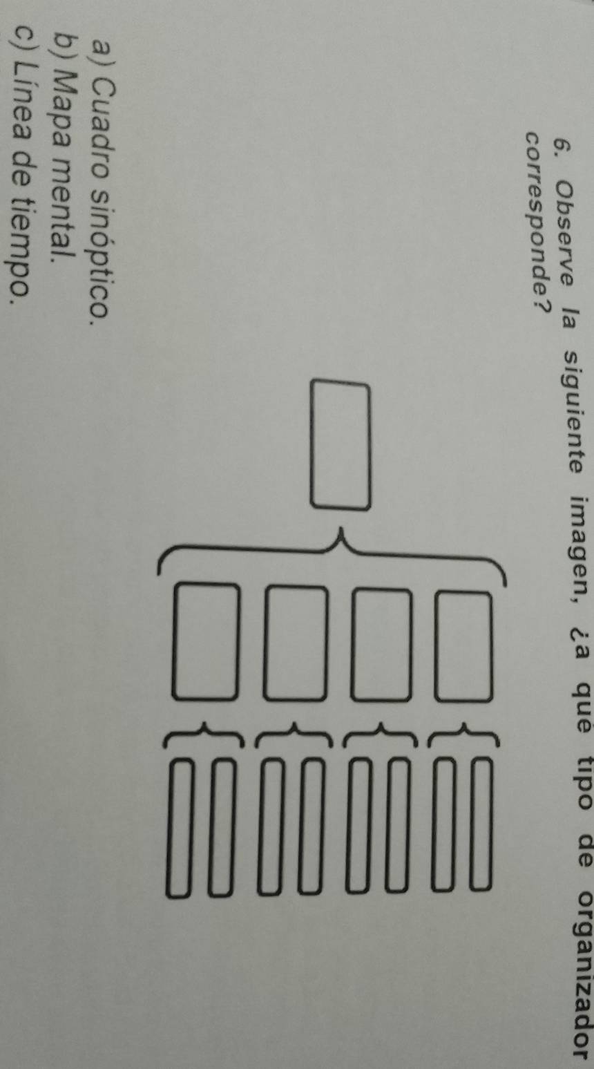 Observe la siguiente imagen, ¿a qué tipo de organizador
corresponde?
a) Cuadro sinóptico.
b) Mapa mental.
c) Línea de tiempo.