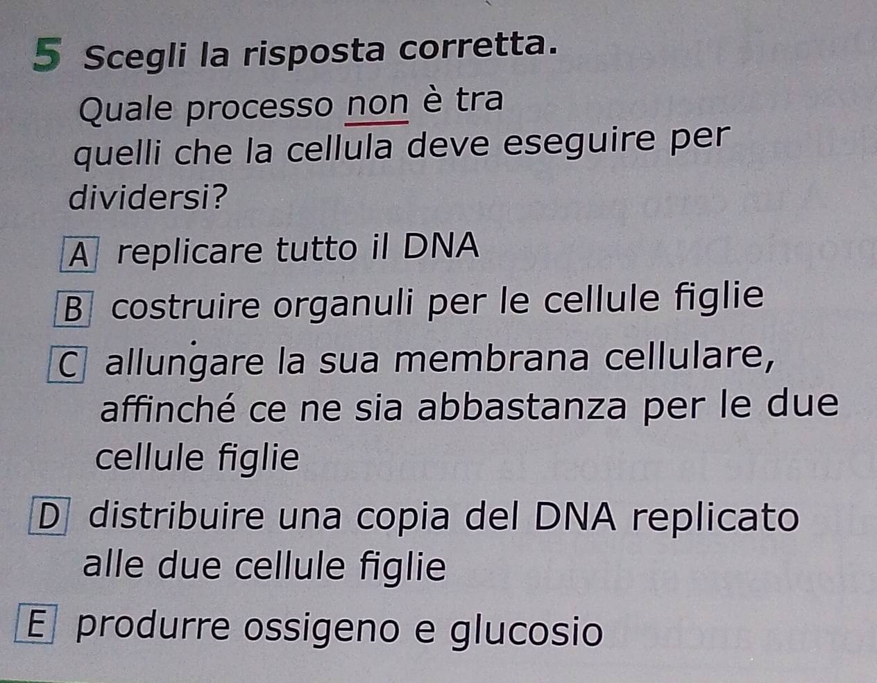 Scegli la risposta corretta.
Quale processo non è tra
quelli che la cellula deve eseguire per
dividersi?
A replicare tutto il DNA
B costruire organuli per le cellule figlie
Callungare la sua membrana cellulare,
affinché ce ne sia abbastanza per le due
cellule figlie
D distribuire una copia del DNA replicato
alle due cellule figlie
E produrre ossigeno e glucosio