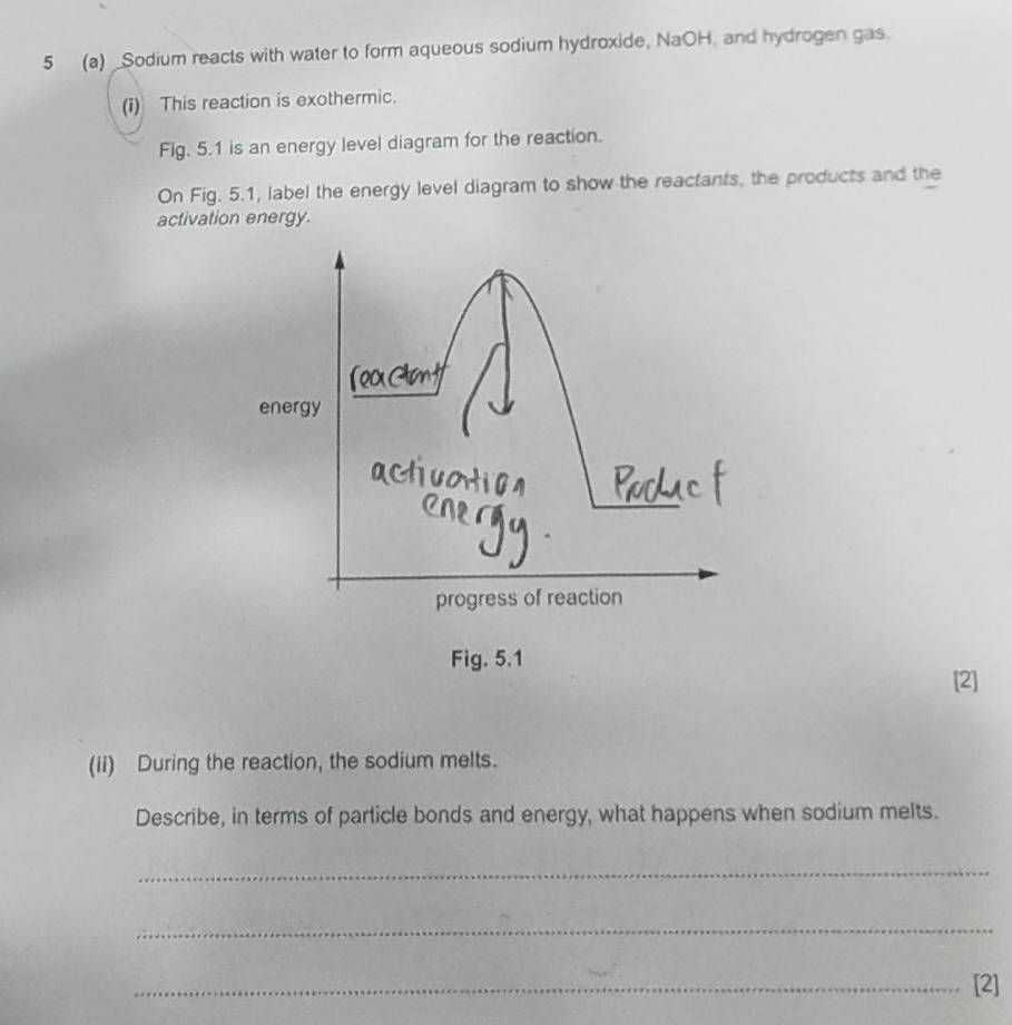 5 (a) _Sodium reacts with water to form aqueous sodium hydroxide, NaOH, and hydrogen gas. 
(i) This reaction is exothermic. 
Fig. 5.1 is an energy level diagram for the reaction. 
On Fig. 5.1, label the energy level diagram to show the reactants, the products and the 
activation energy. 
energy 
progress of reaction 
Fig. 5.1 
[2] 
(ii) During the reaction, the sodium melts. 
Describe, in terms of particle bonds and energy, what happens when sodium melts. 
_ 
_ 
_[2]