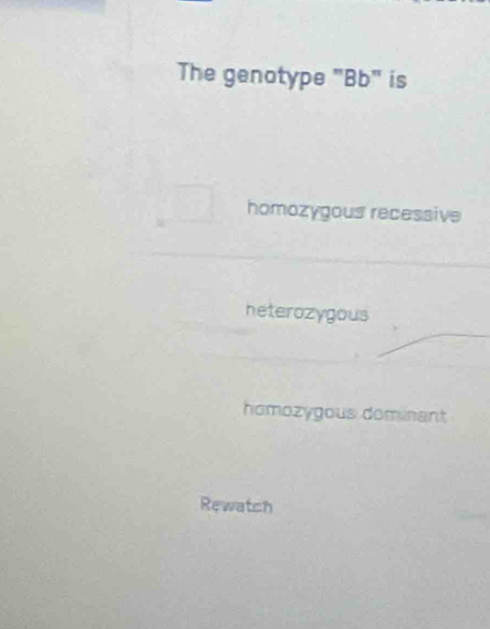 The genotype "Bb" is
homozygous recessive
heterozygous
homozygous domnant 
Rewatch