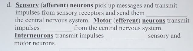 Sensory (afferent) neurons pick up messages and transmit 
impulses from sensory receptors and send them_ 
the central nervous system. Motor (efferent) neurons transmit 
impulses_ from the central nervous system. 
Interneurons transmit impulses_ sensory and 
motor neurons.