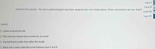 Layer I
Observe the picture. You are a paleontologist and have analyzed the rock strata below. What conclusions can you draw? Layer III Layer II
Layer IV
point)
O plants evolved into fish
this area has always been covered by an ocean
the leaf fossil is older than either fish fossils
there was a mass extinction event between layer II and I