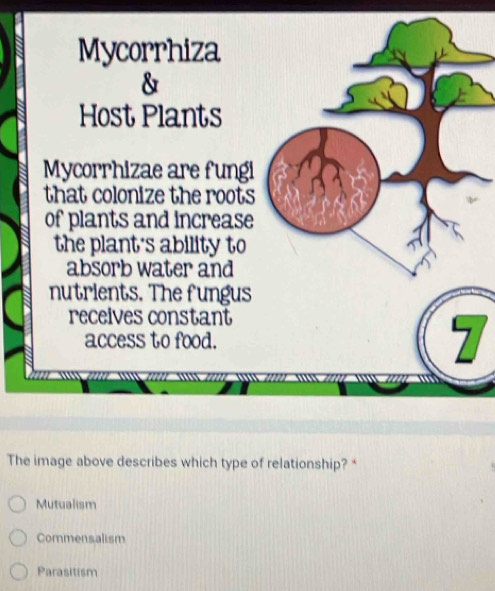 Mycorrhiza
Host Plants
Mycorrhizae are fungi
that colonize the roots
of plants and increase
the plant's ability to
absorb water and
nutrients. The fungus
receives constant
access to food.
7
The image above describes which type of relationship? *
Mutualism
Commensalism
Parasitism