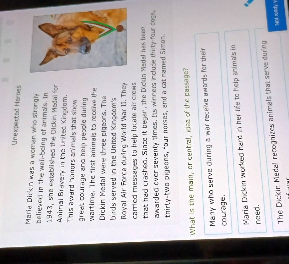 Unexpected Heroes
Maria Dickin was a woman who strongly
believed in the well-being of animals. In
1943, she established the Dickin Medal for
Animal Bravery in the United Kingdom.
This award honors animals that show
great courage and help people during
wartime. The first animals to receive the
Dickin Medal were three pigeons. The
birds served in the United Kingdom's
Royal Air Force during World War II. They
carried messages to help locate air crews
that had crashed. Since it began, the Dickin Medal has been
awarded over seventy times. Its winners include thirty-four dogs,
thirty-two pigeons, four horses, and a cat named Simon.
What is the main, or central, idea of the passage?
Many who serve during a war receive awards for their
courage.
Maria Dickin worked hard in her life to help animals in
need.
The Dickin Medal recognizes animals that serve during
Not ready y
