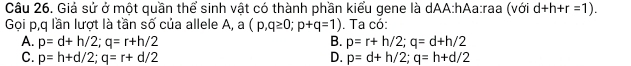 Giả sử ở một quần thể sinh vật có thành phần kiểu gene là dAA:hAa:raa (với d+h+r=1). 
Gọi p, q lần lượt là tần số của allele A, a (p,q≥ 0;p+q=1). Ta có:
A. p=d+h/2; q=r+h/2 B. p=r+h/2; q=d+h/2
C. p=h+d/2; q=r+d/2 D. p=d+h/2; q=h+d/2