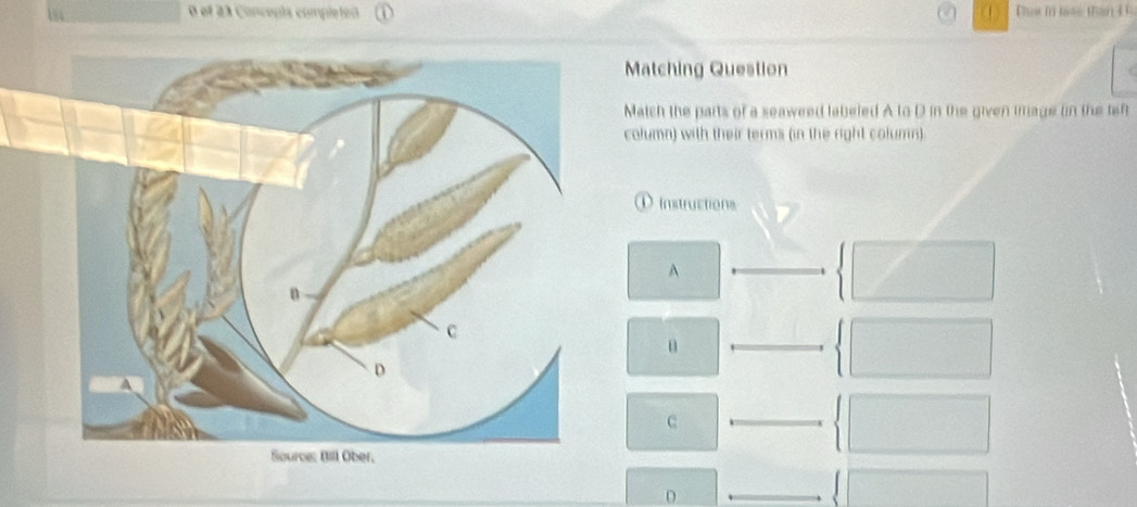 Solved: ef 23 Concepts completed Tha i toas than i Matching Question ...