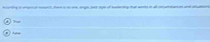Acading to empocal rnsds there s to one, sngle, hest syle of leadersup that works in all cnumptances and sruations
A Tte
B fooe
